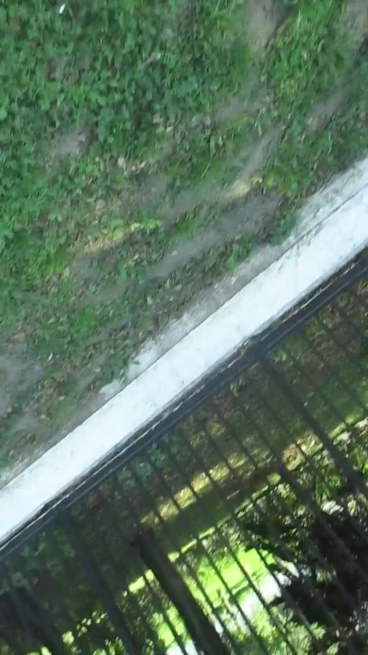 @user753674787