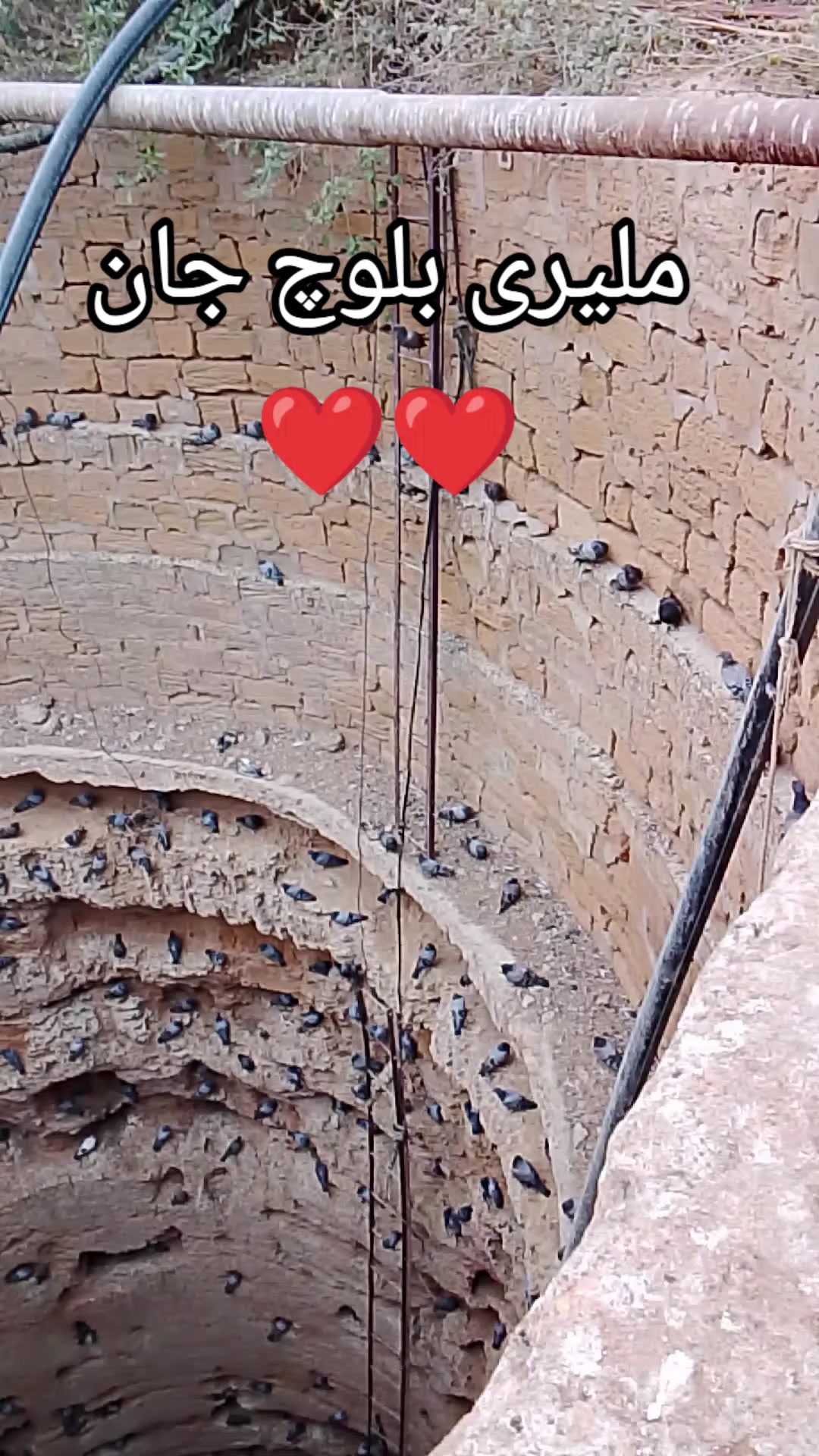 @ملیری بلوچ جان❤