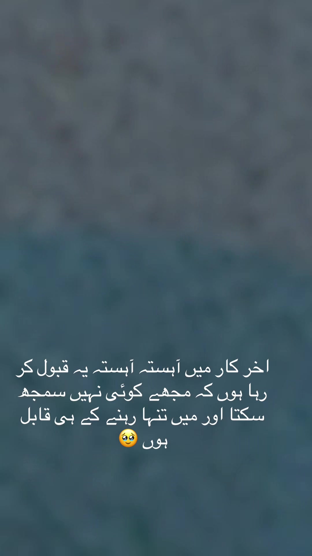 @Shinda Mughal🇦🇪
