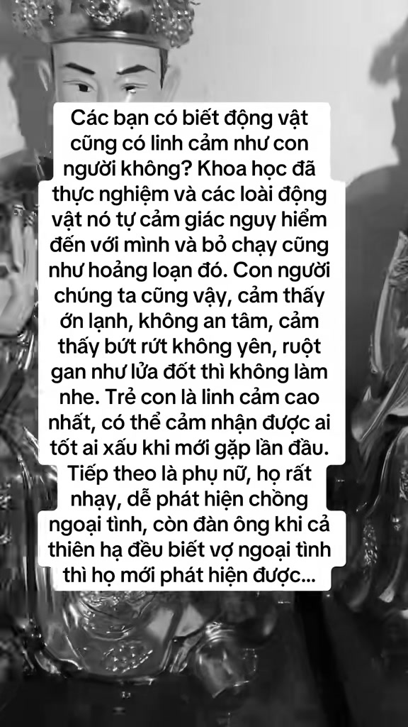 @Qu&ocirc;́c Ti&ecirc;́n ✅
