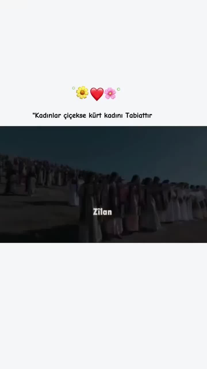 @S.T🔗