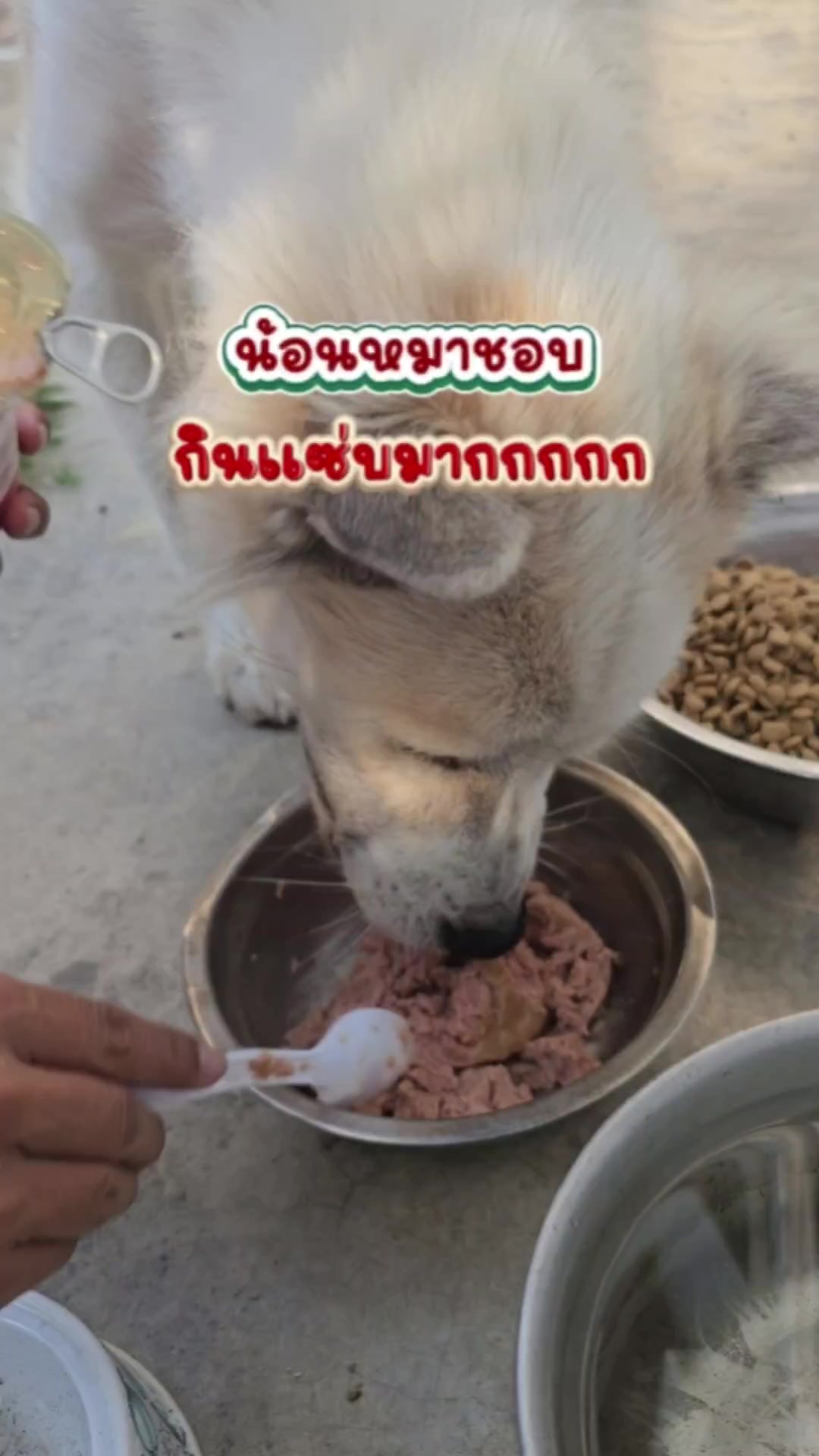 @ป้องภพและคลิปของเขา