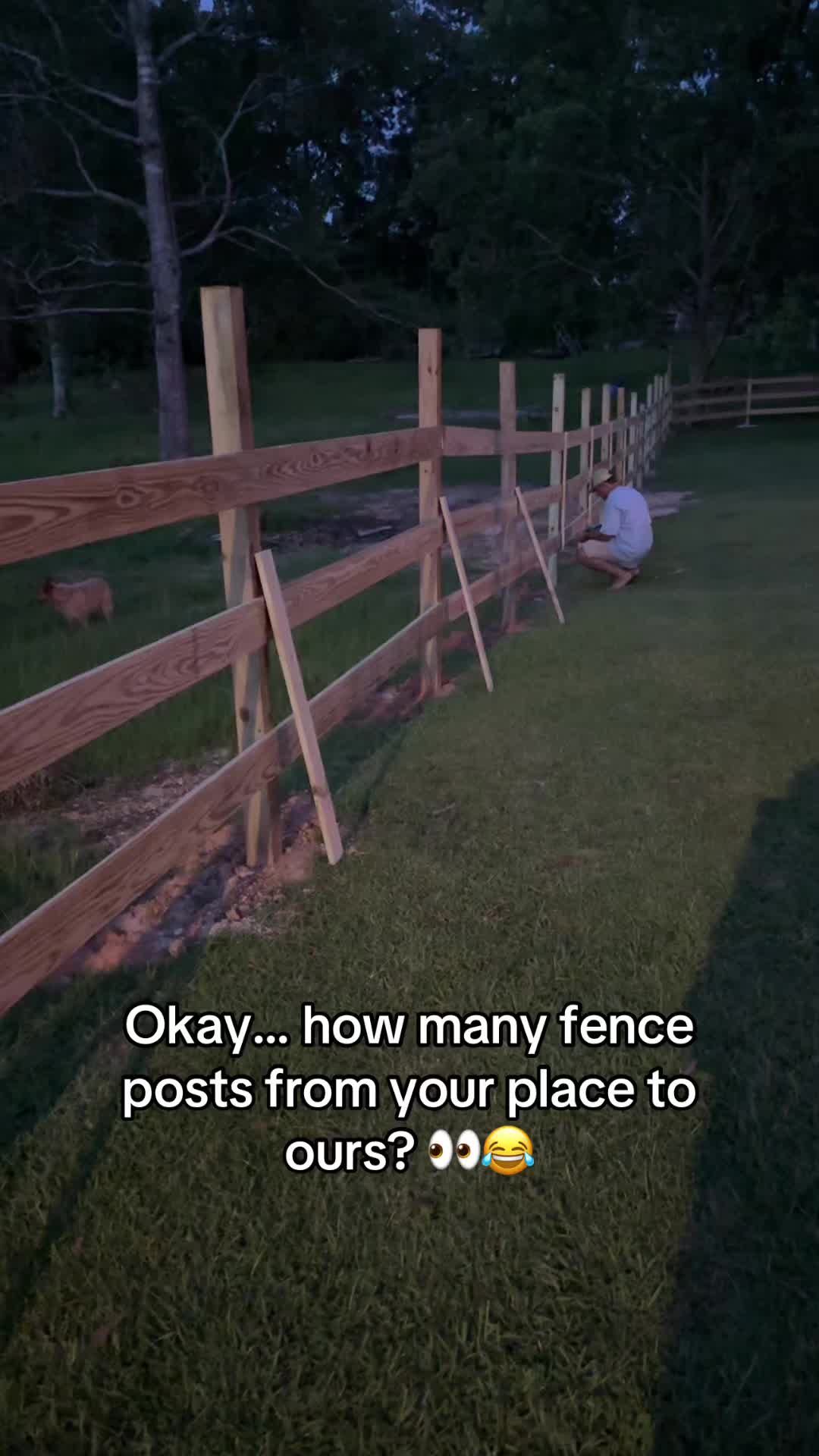 @MamaAng❌