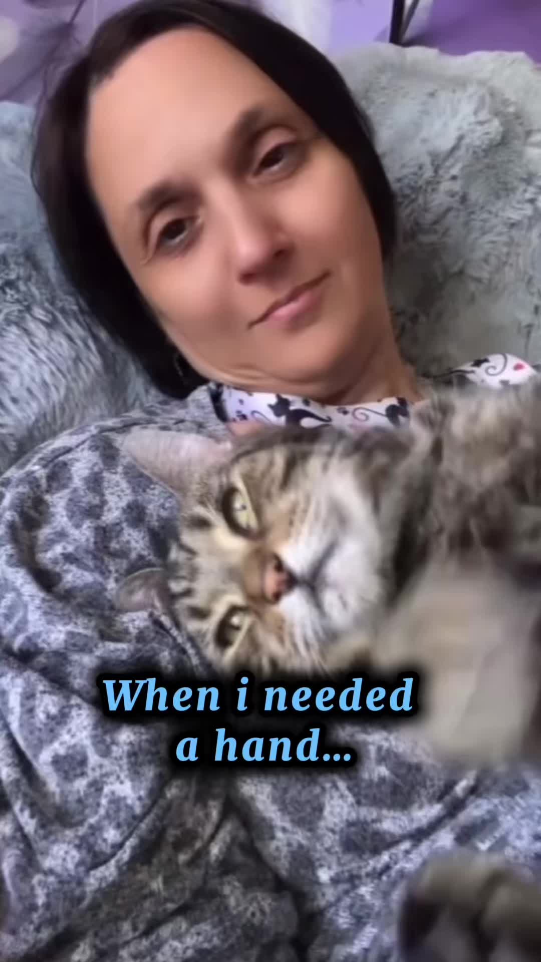 @romina_mycatfamily