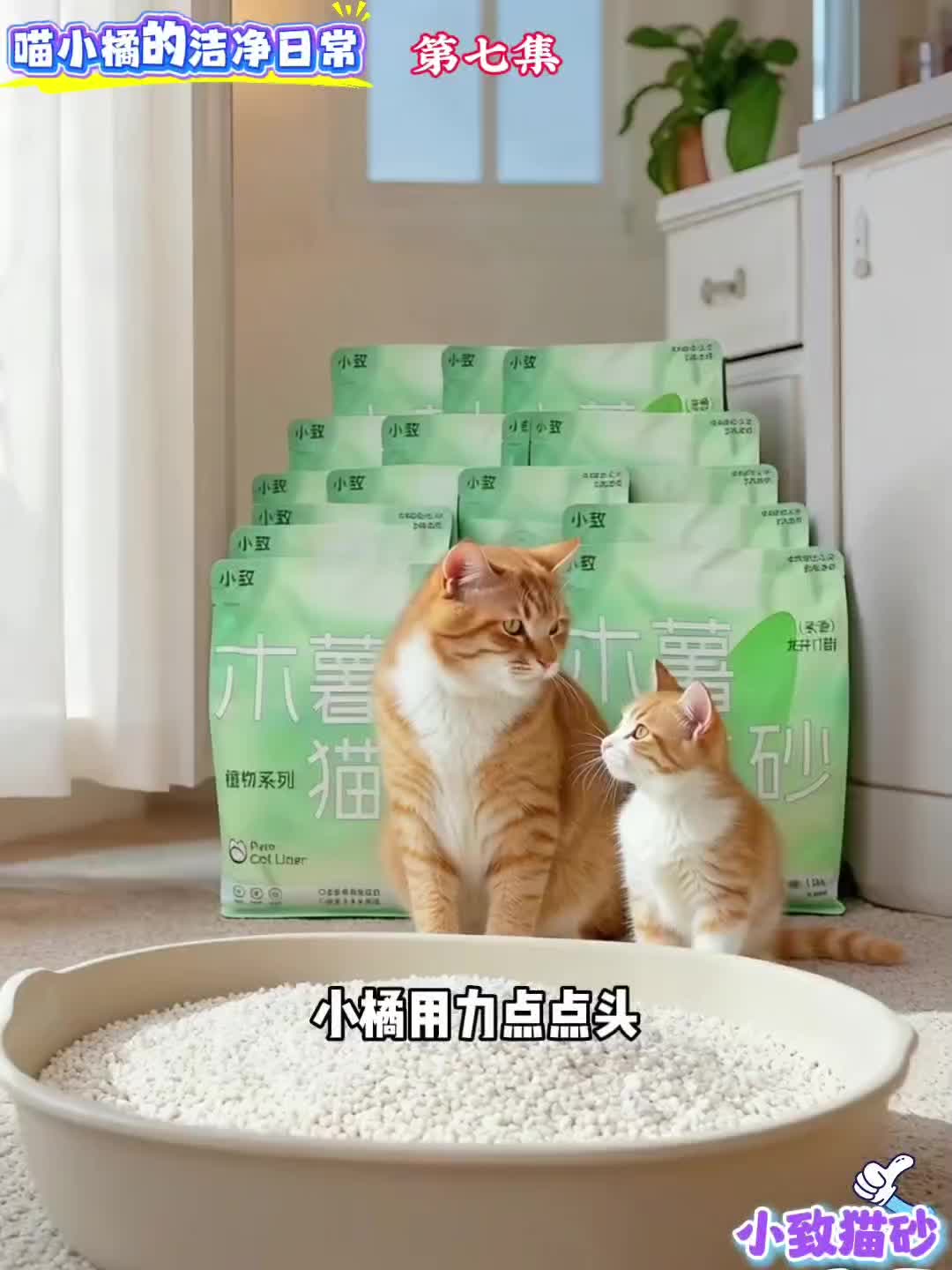 @小致猫砂国内外招代理商