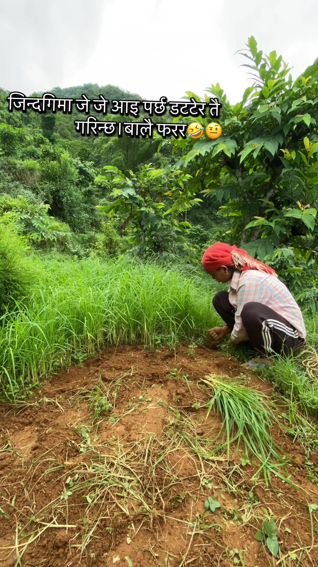 @Purnima Nepali