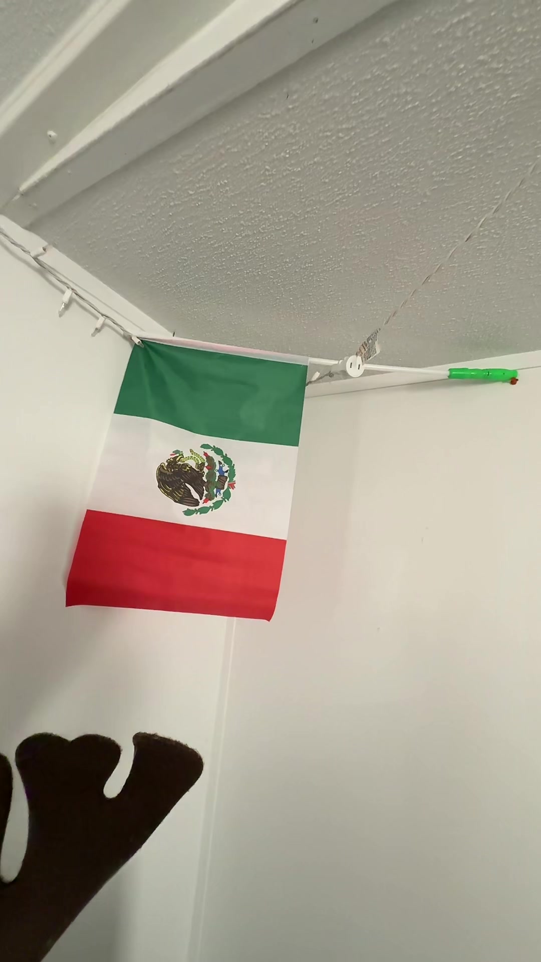 @eva.lopez47