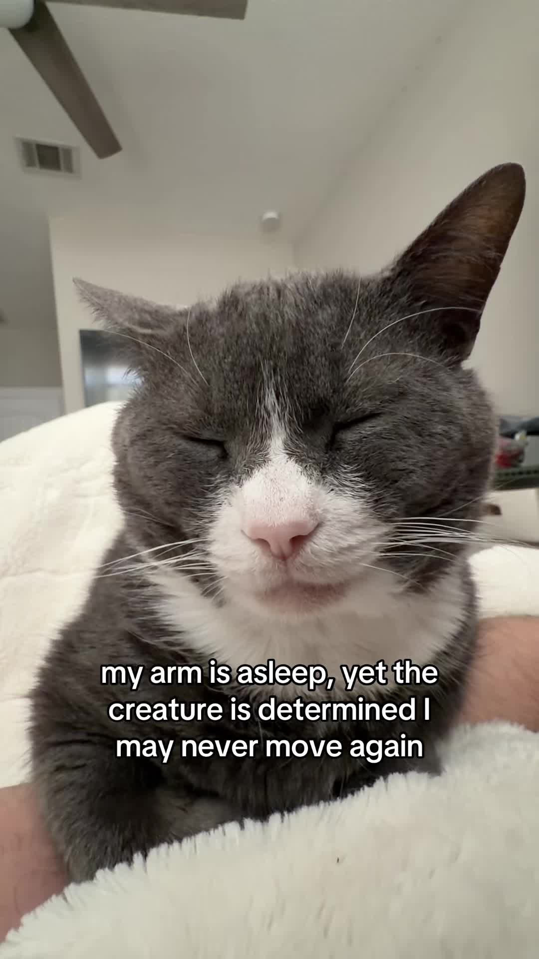 @stinkwalker