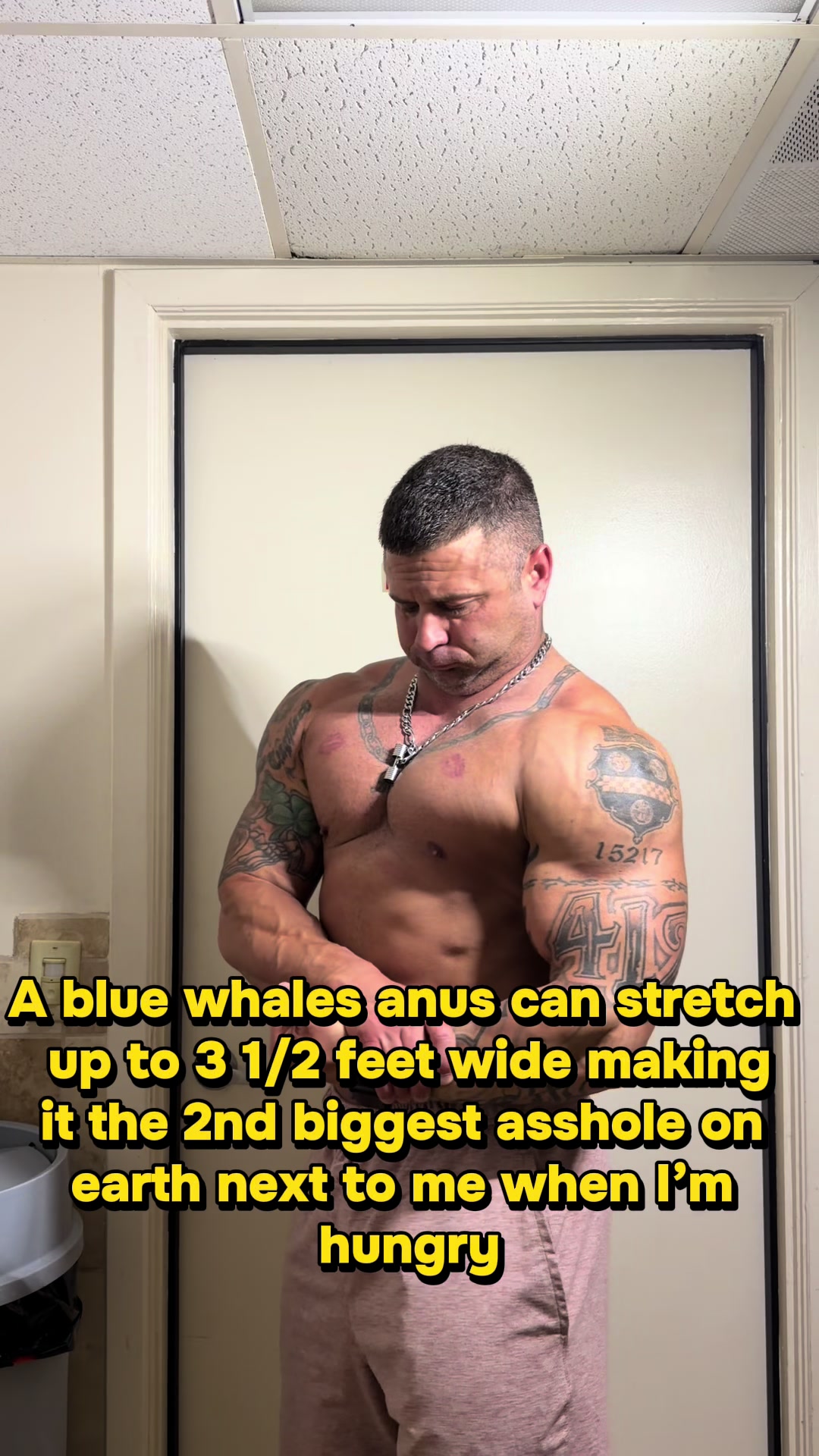@anabolic_aholic