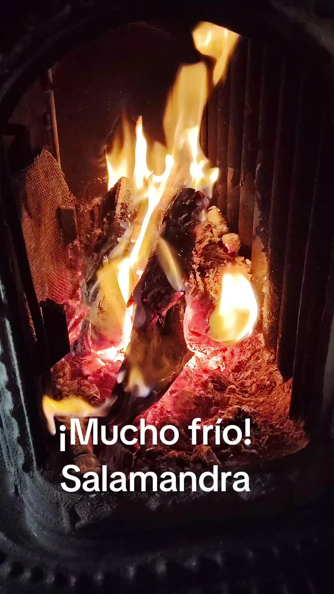 @patriciareyes2741