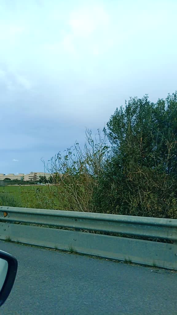 @Madalena