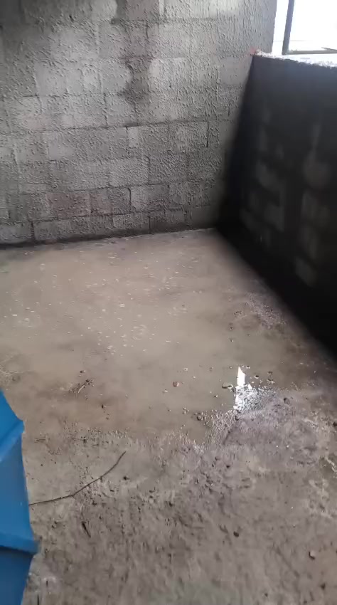 @Eli Eleutério