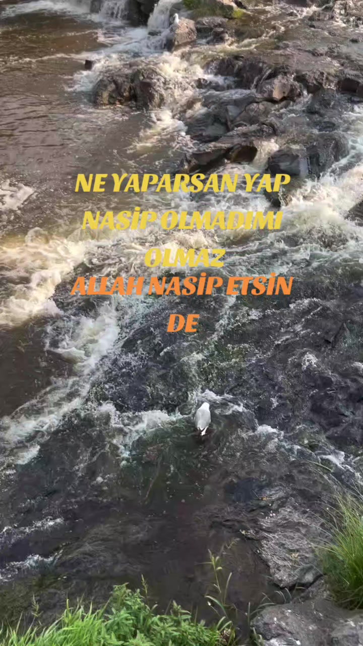@Hasan Yılmaz