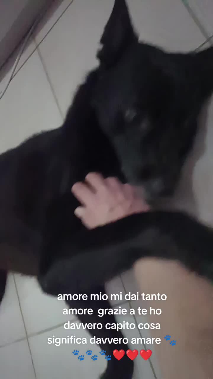 @Stefania Basla