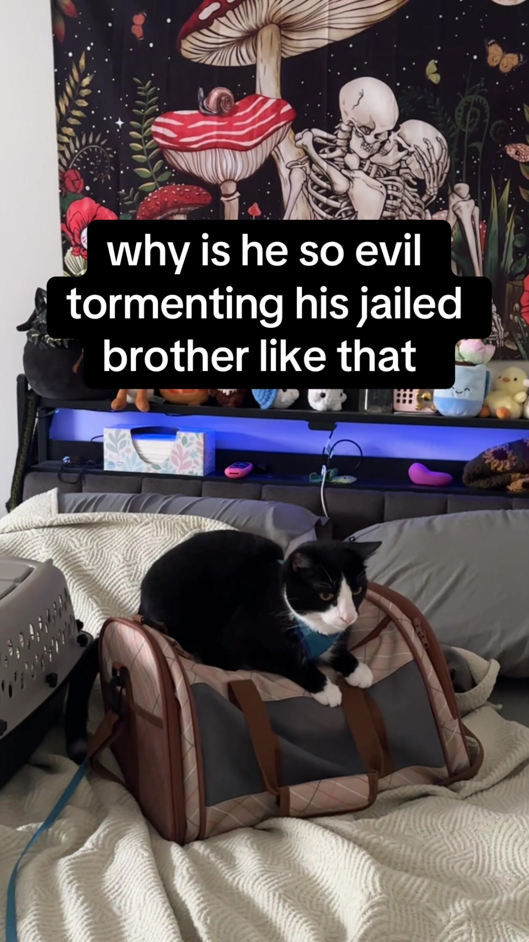 @๐ฑ๐๐๐๐๐