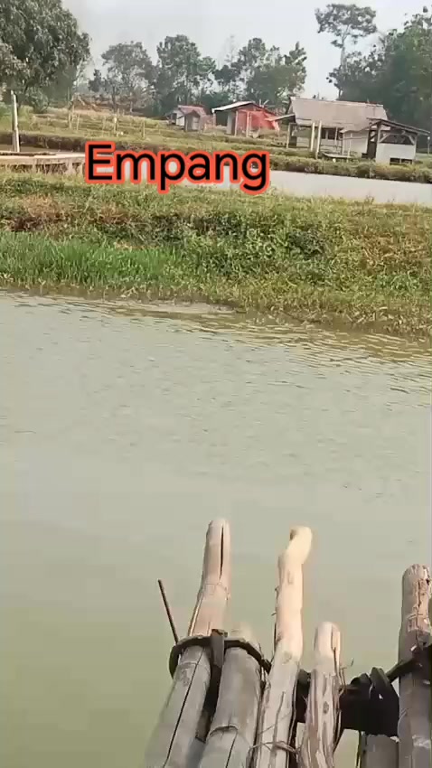 @erdin mancing
