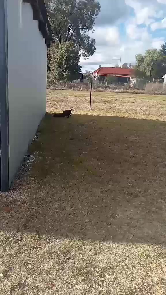 @shellyteddybear1