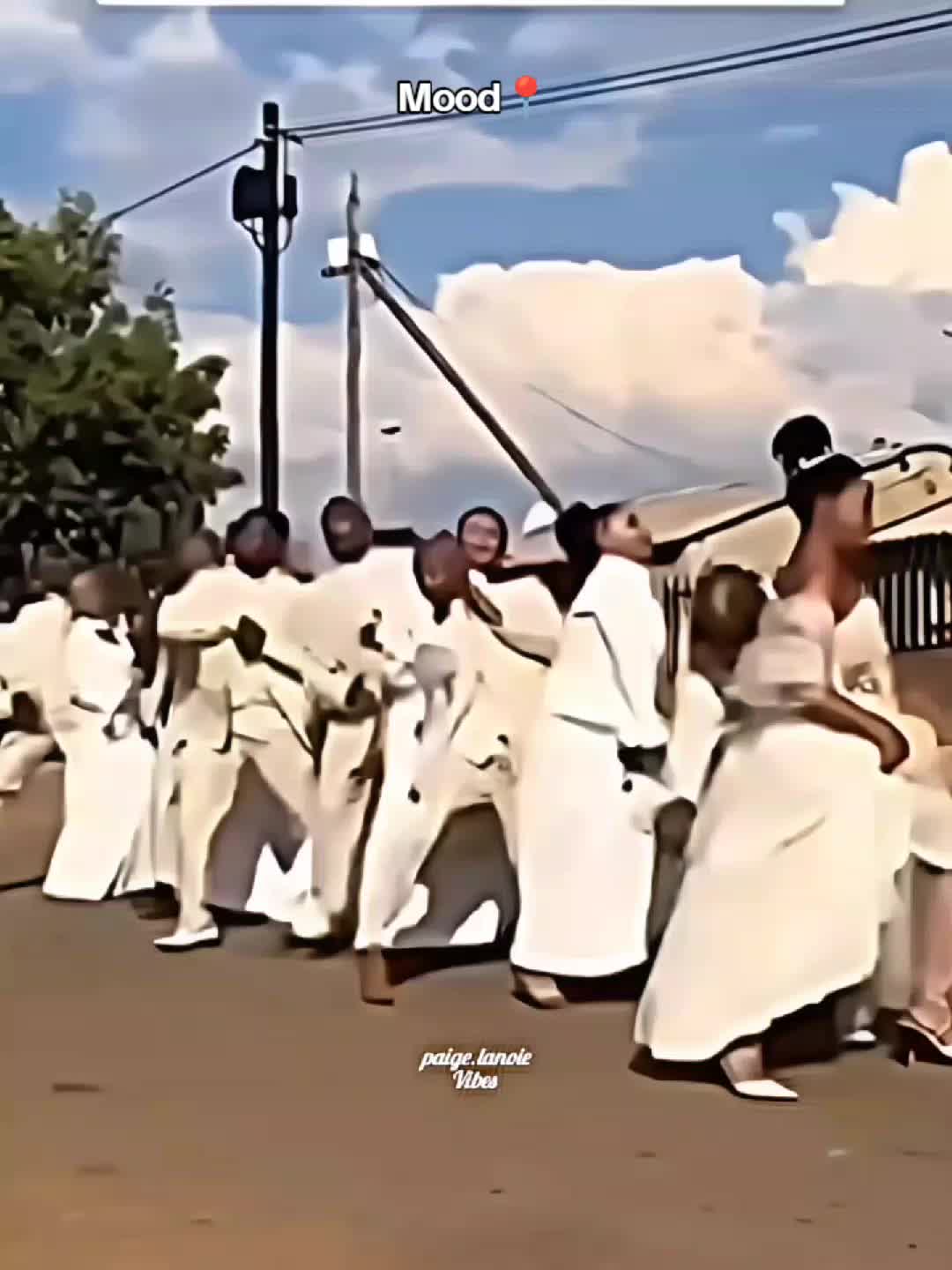 @paigelanoievibes