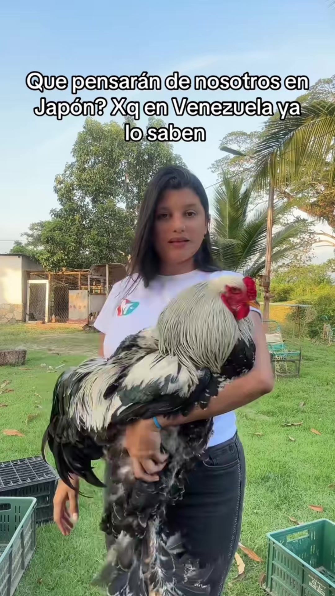 @Granjamascotalandiayaracuy