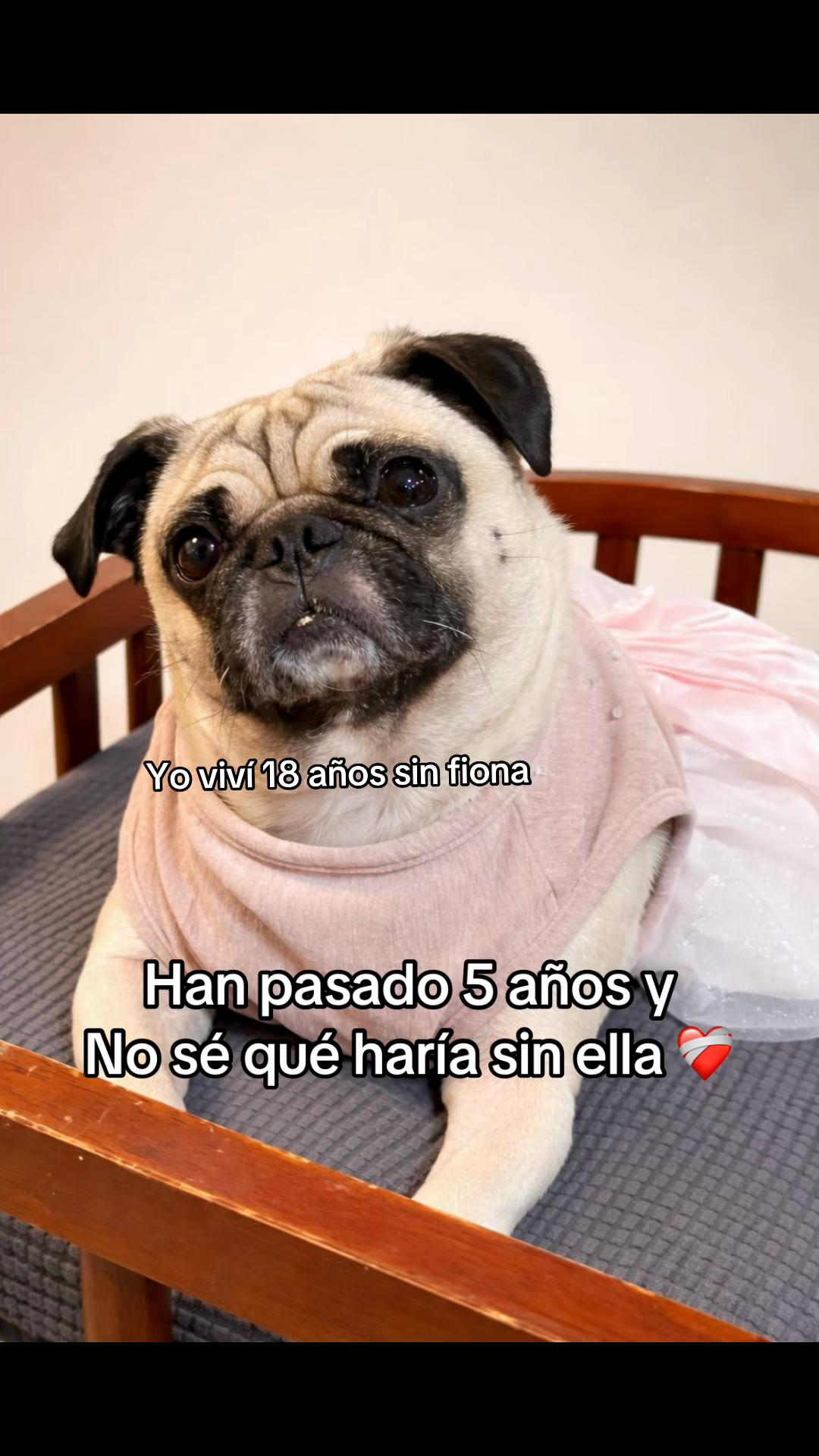 @Valequeso