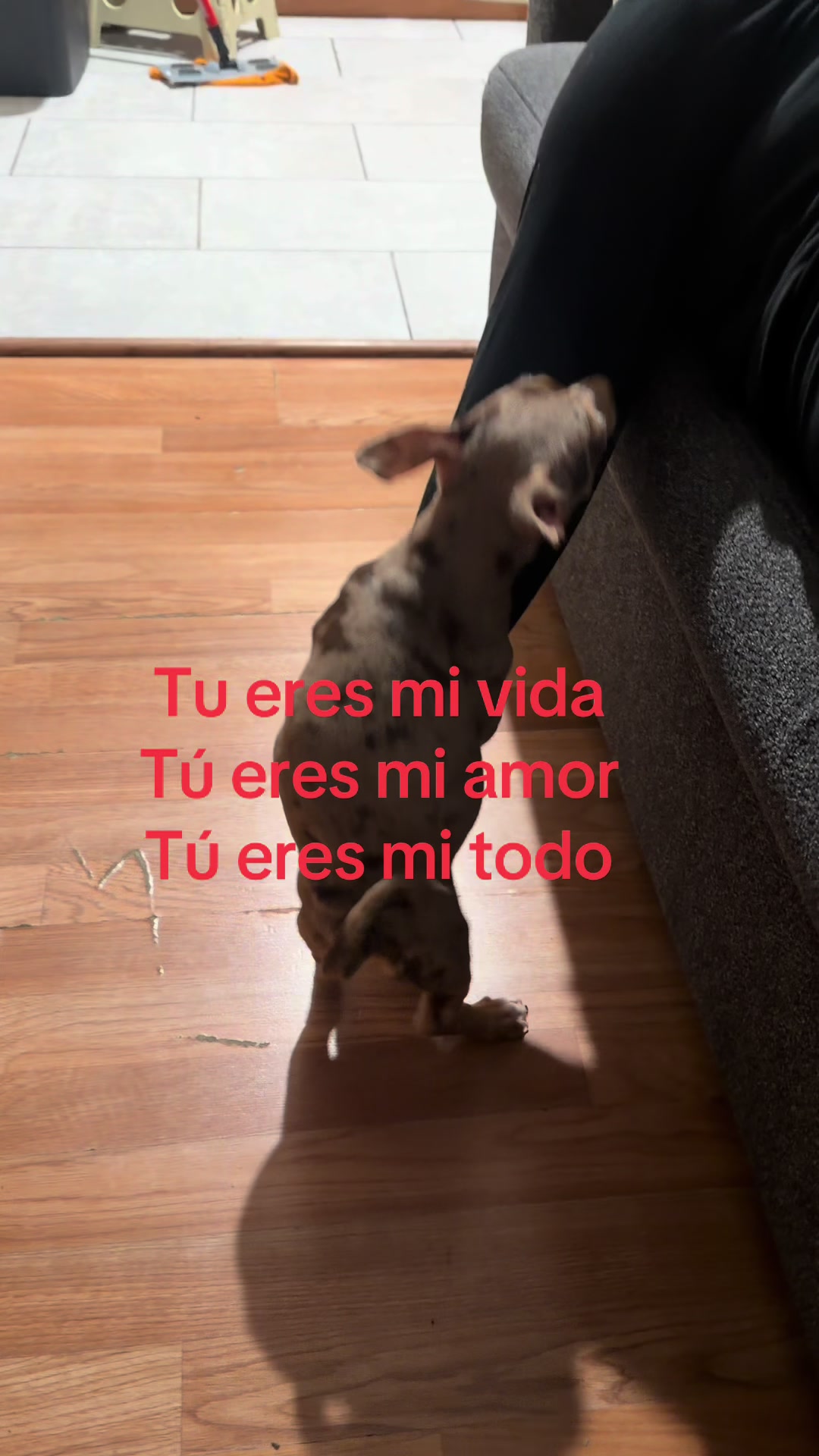@Angelita Monroy