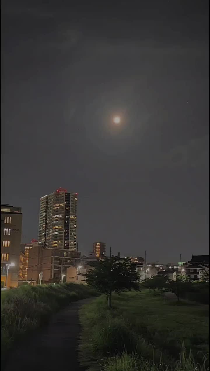 @kimura