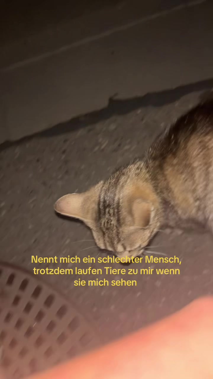 @x_zwockel_x