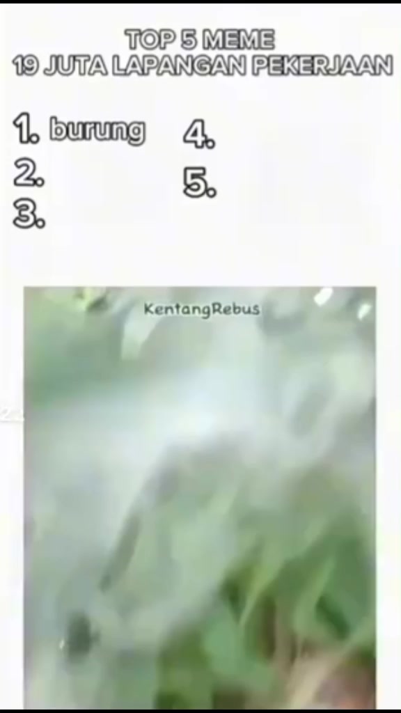 @gojo/gojek