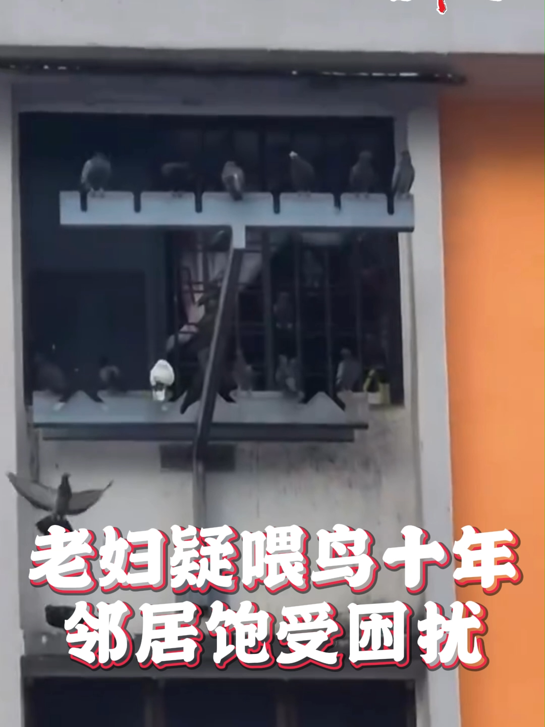 @新明日报