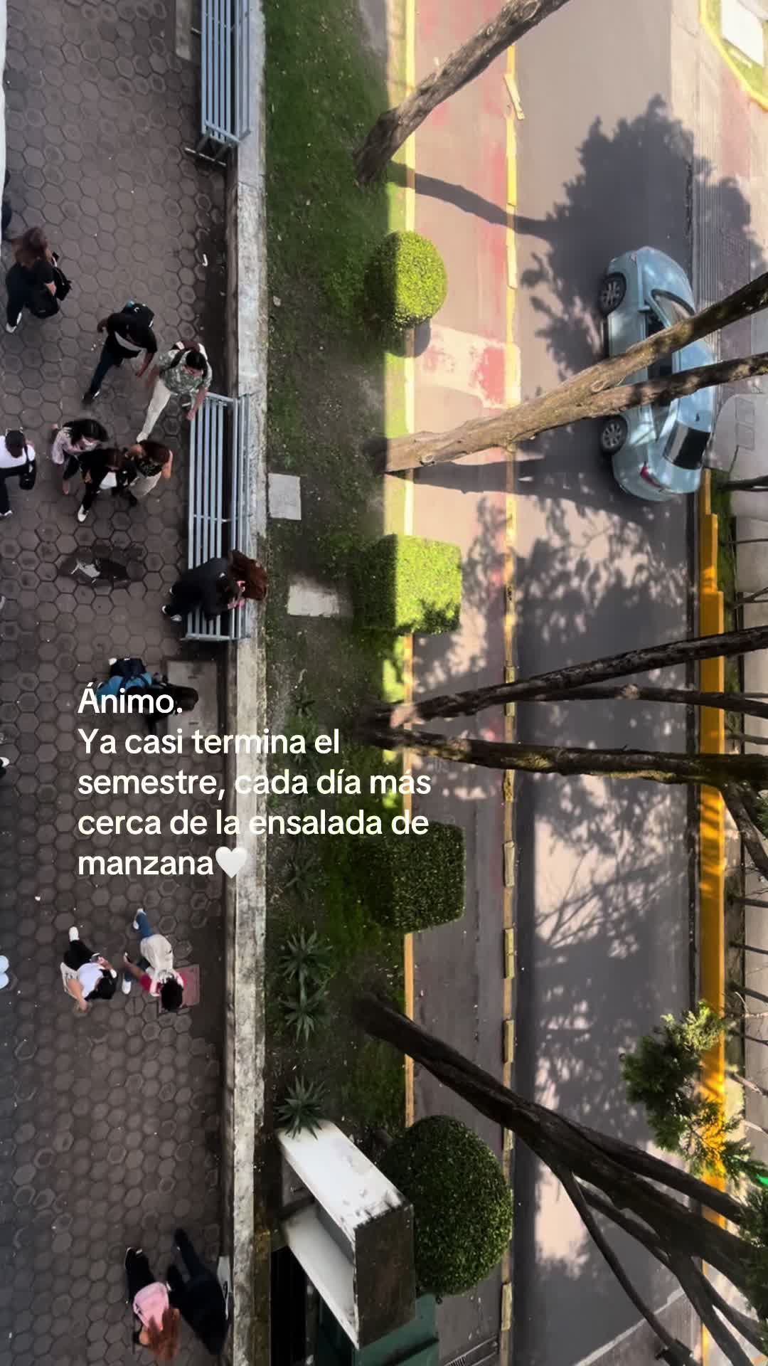 @Car