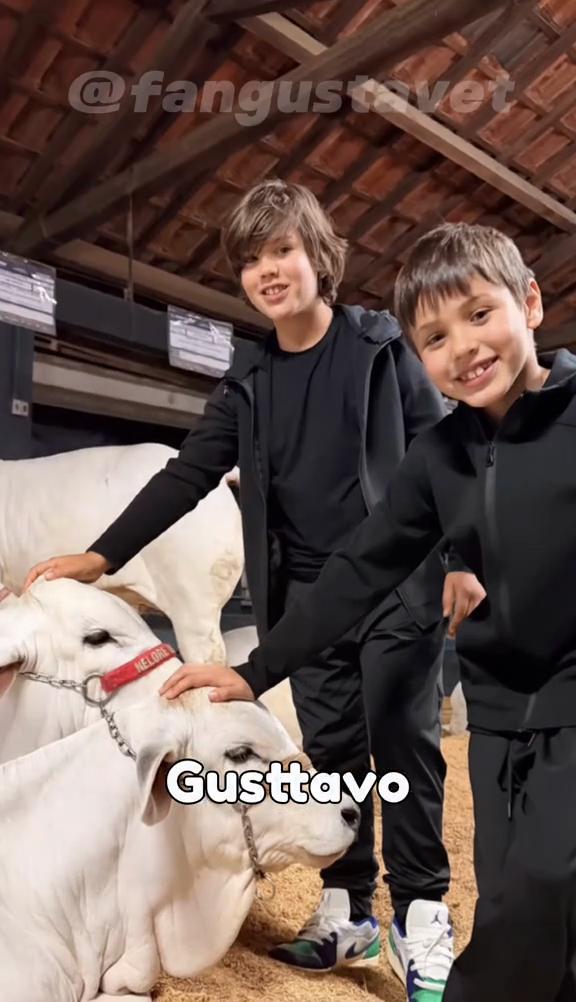@gustavet