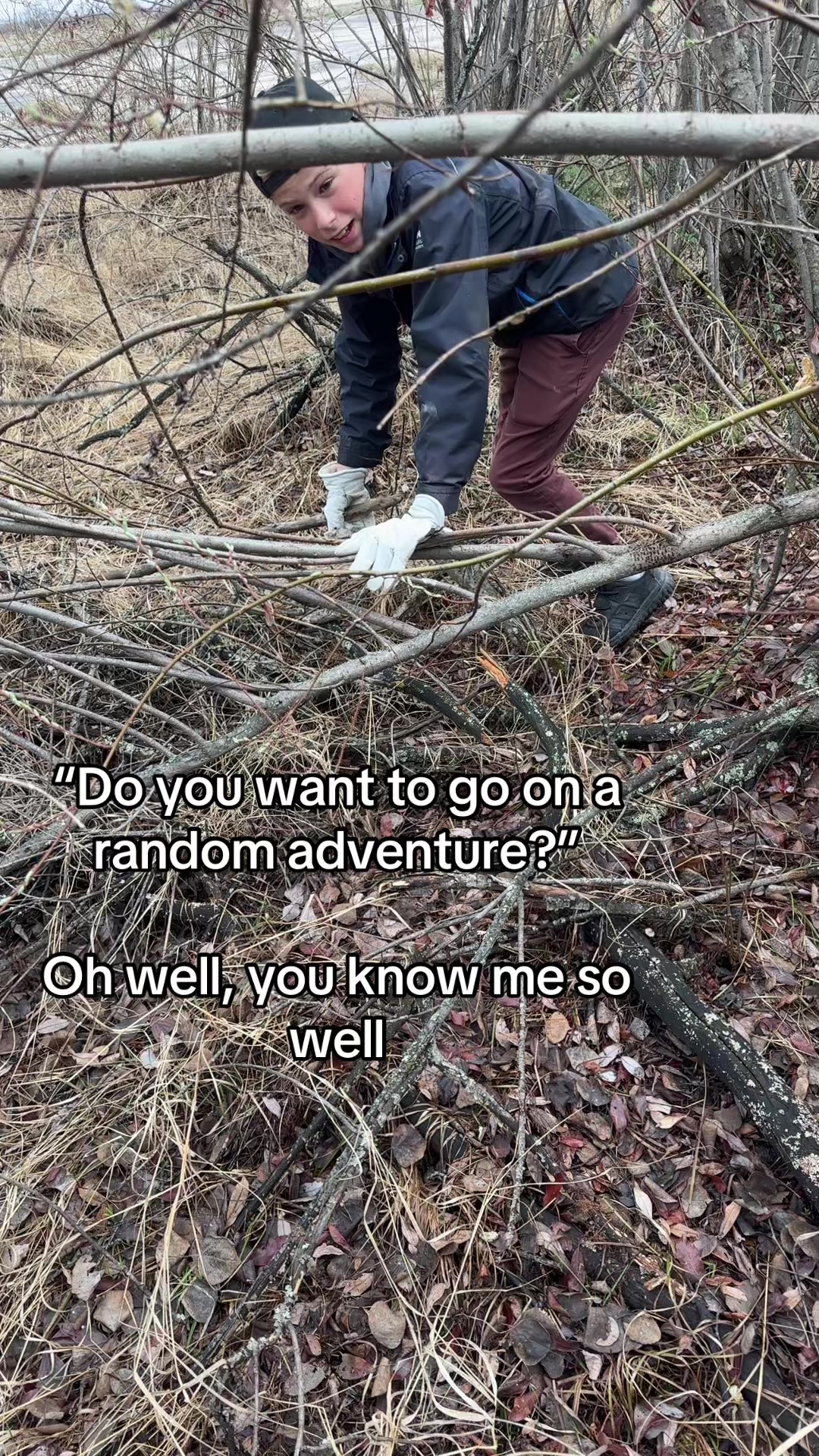 @silly.spammmmmmm