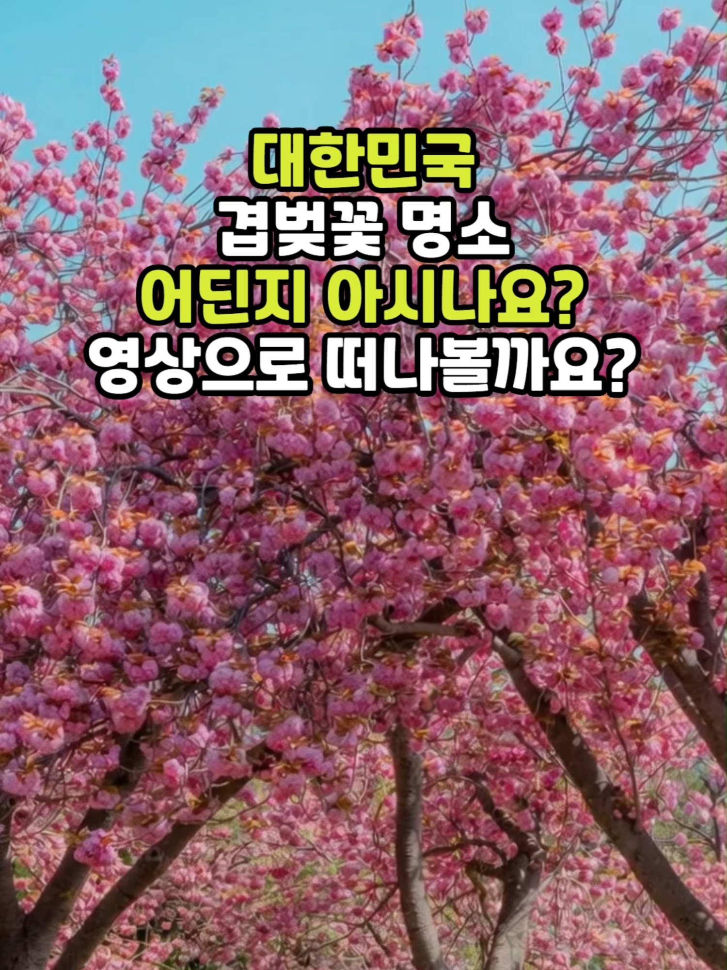 @꽃길