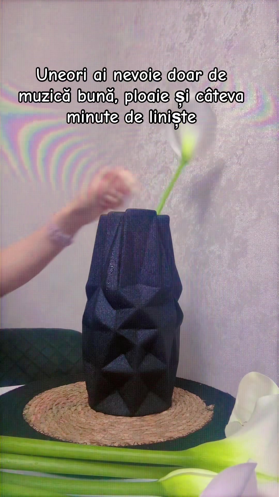 @Anya Godonoaga