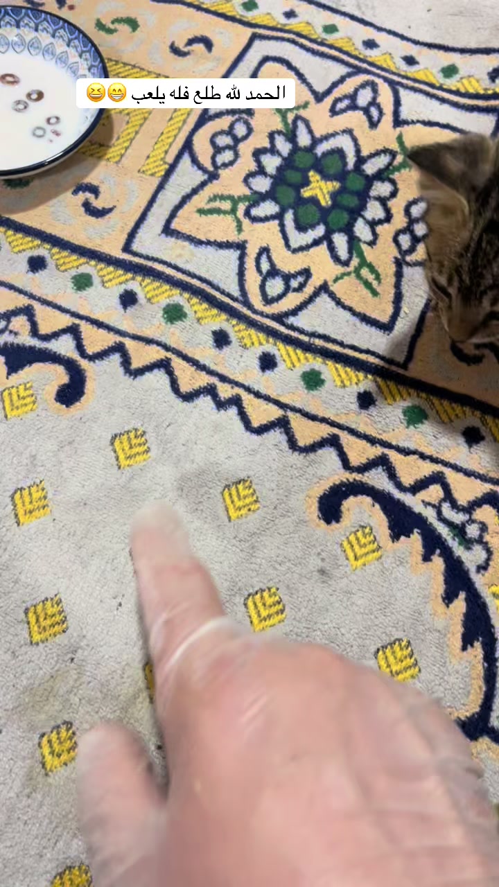 @ashkaltbiah