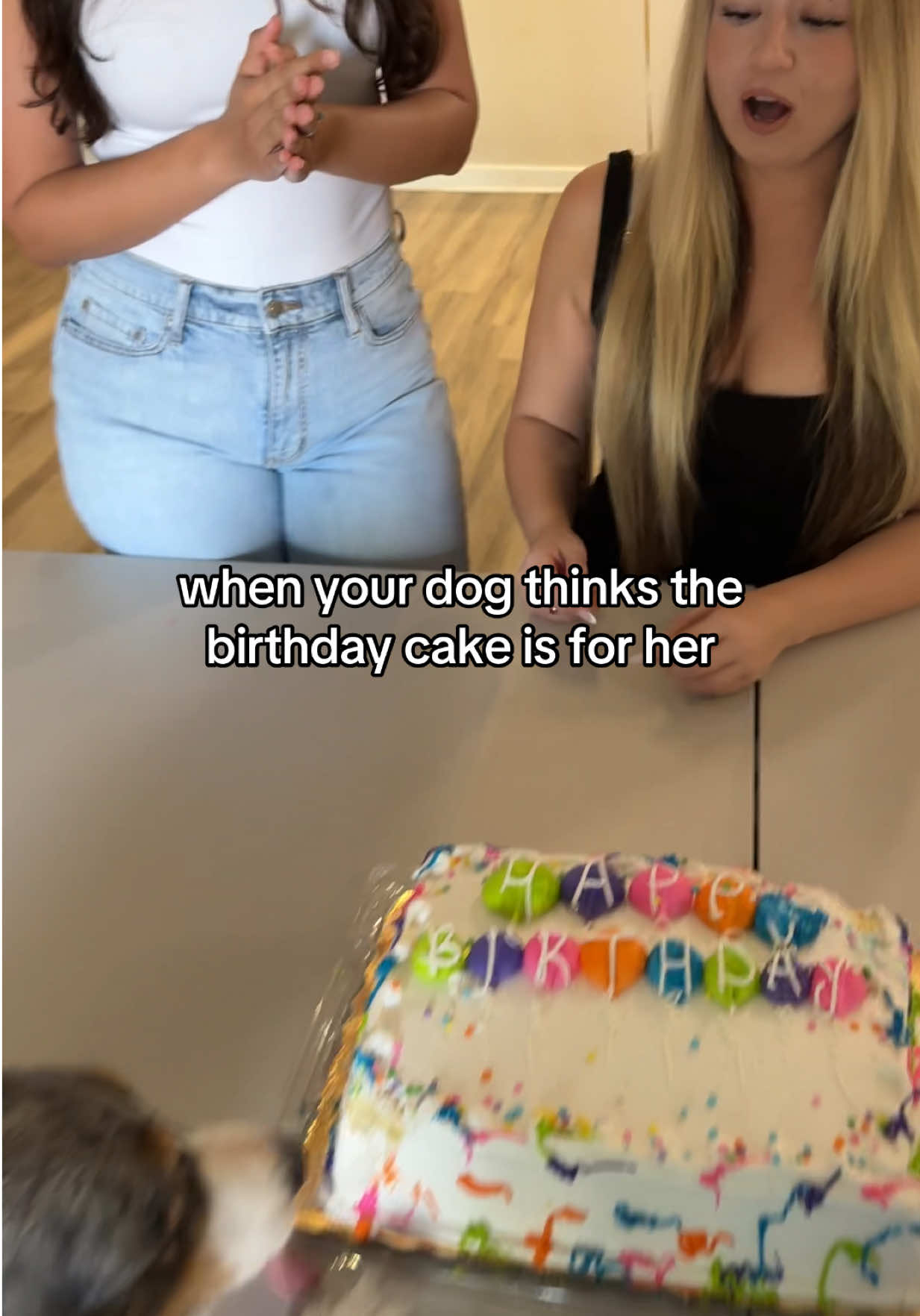@lexislola