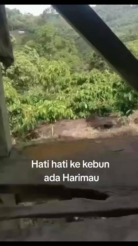 @𝐊𝐫𝐮𝐢 𝐓𝐯