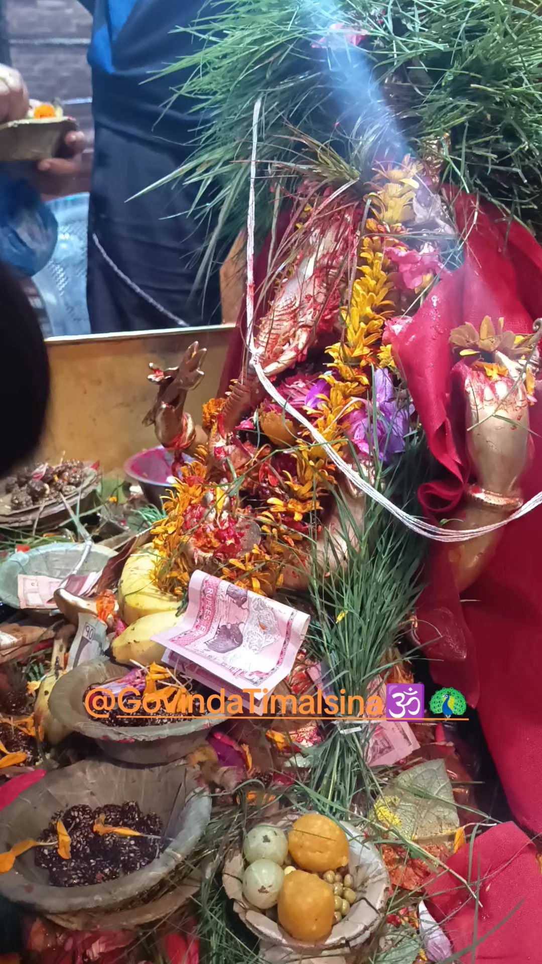 @Govinda Timalsina🕉🦚