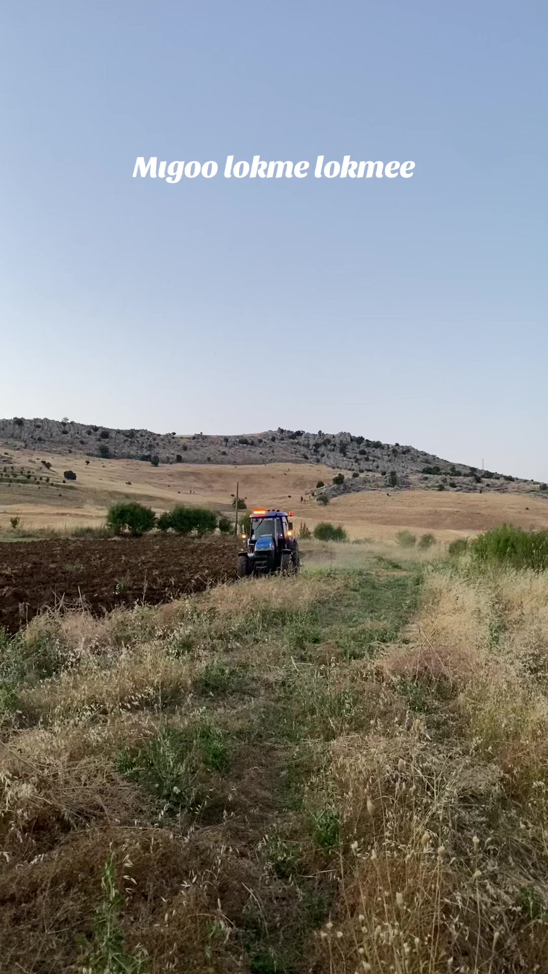 @Hayrettin Varol