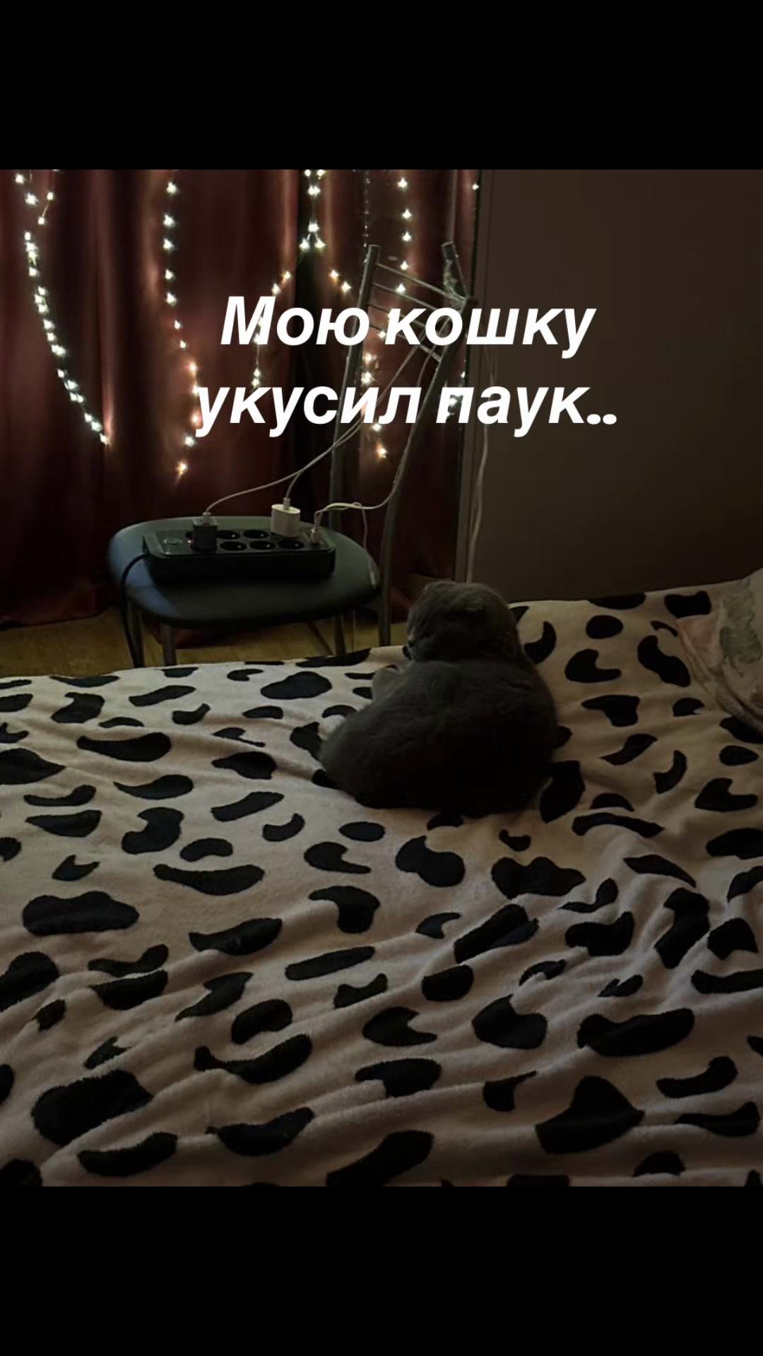 @сок
