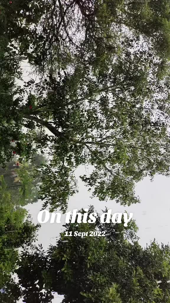 @tinisumishop