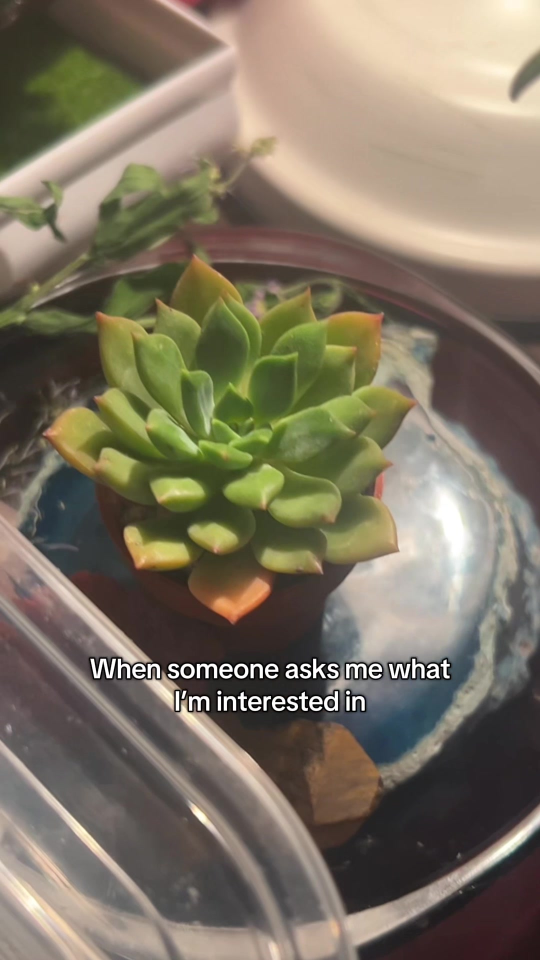 @KATSUKI🇯🇵🇵🇭