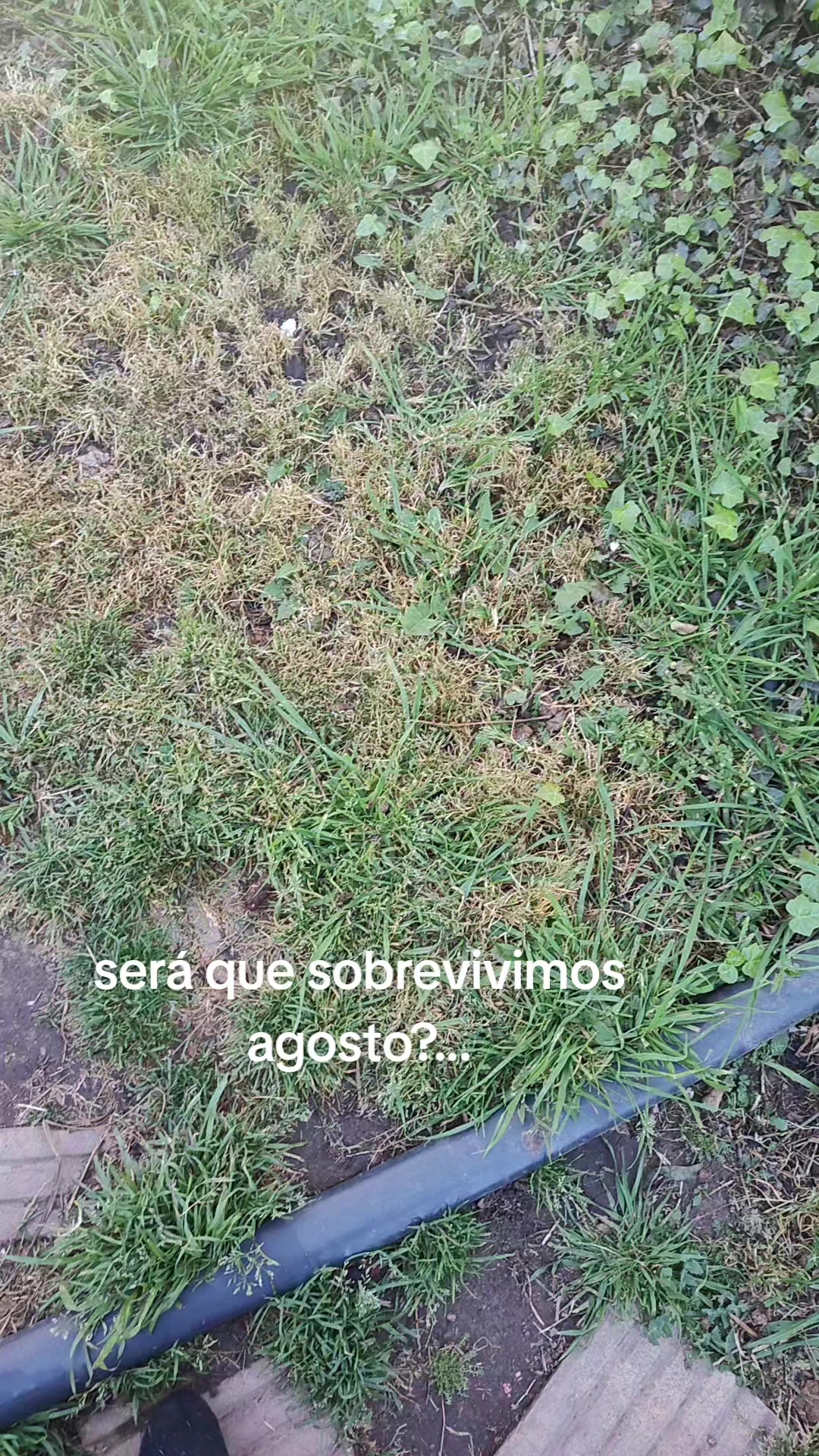 @Mariela Funes