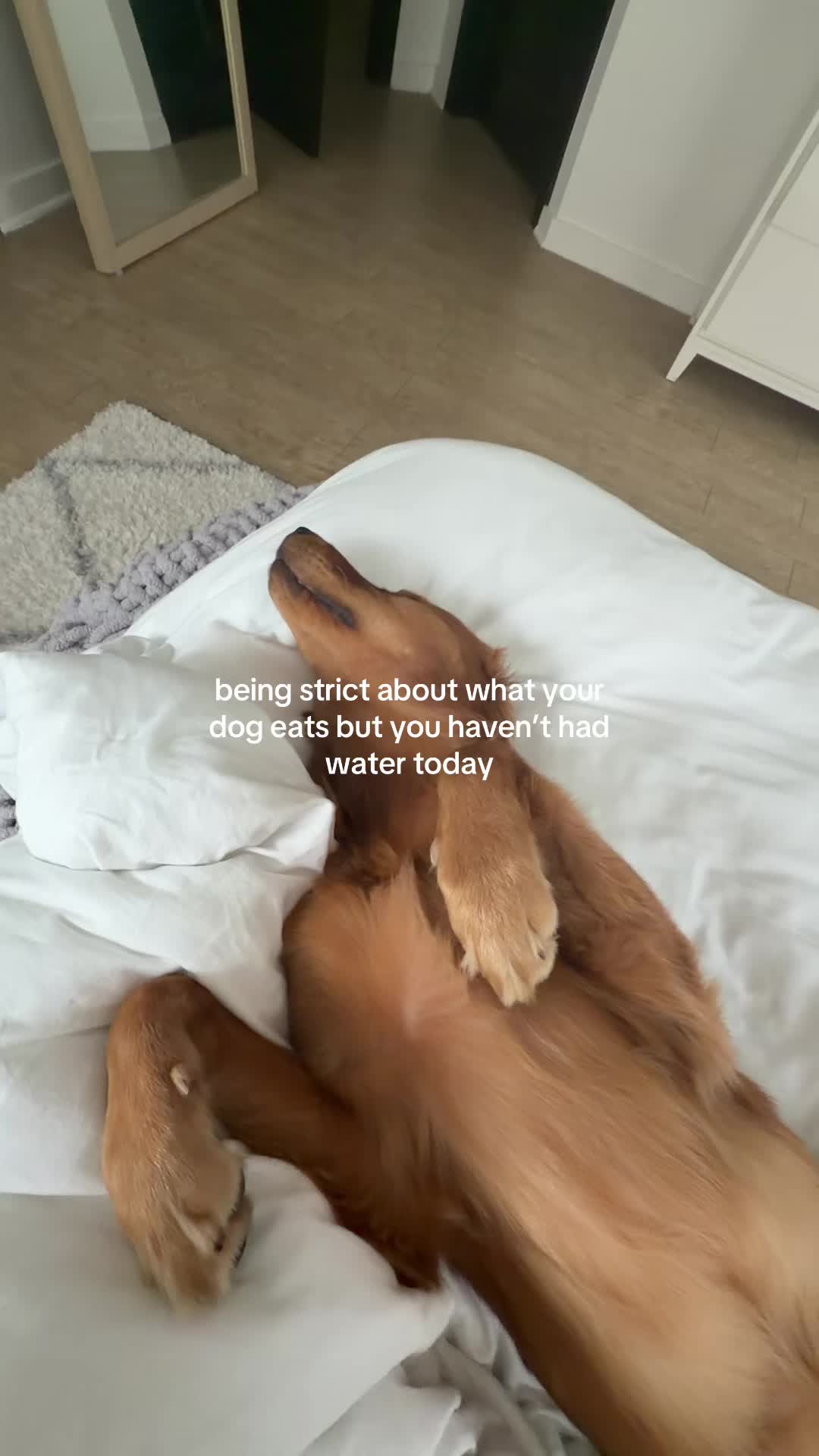 @Lauren