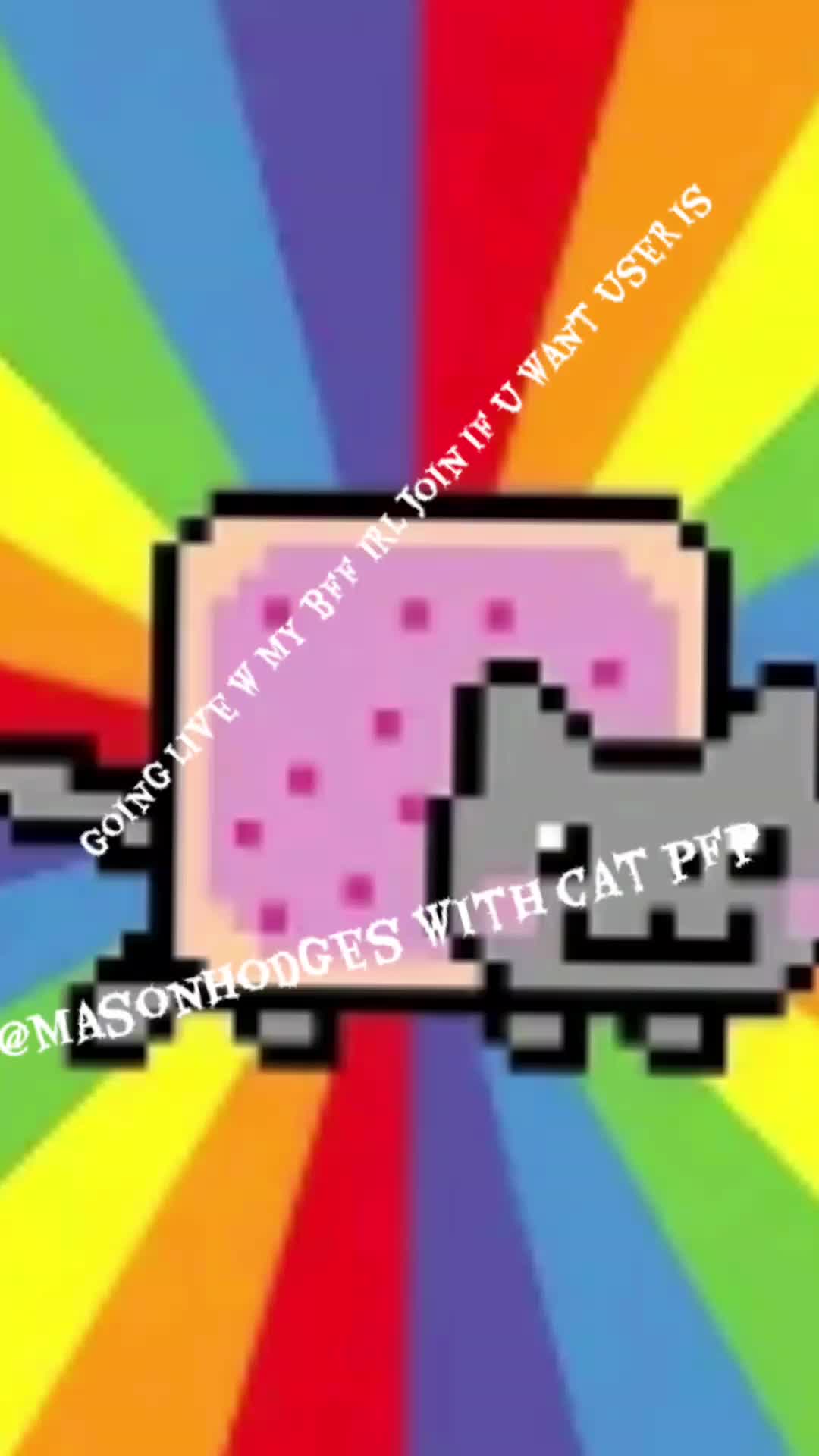 @+*&bull;Addi&bull;*+