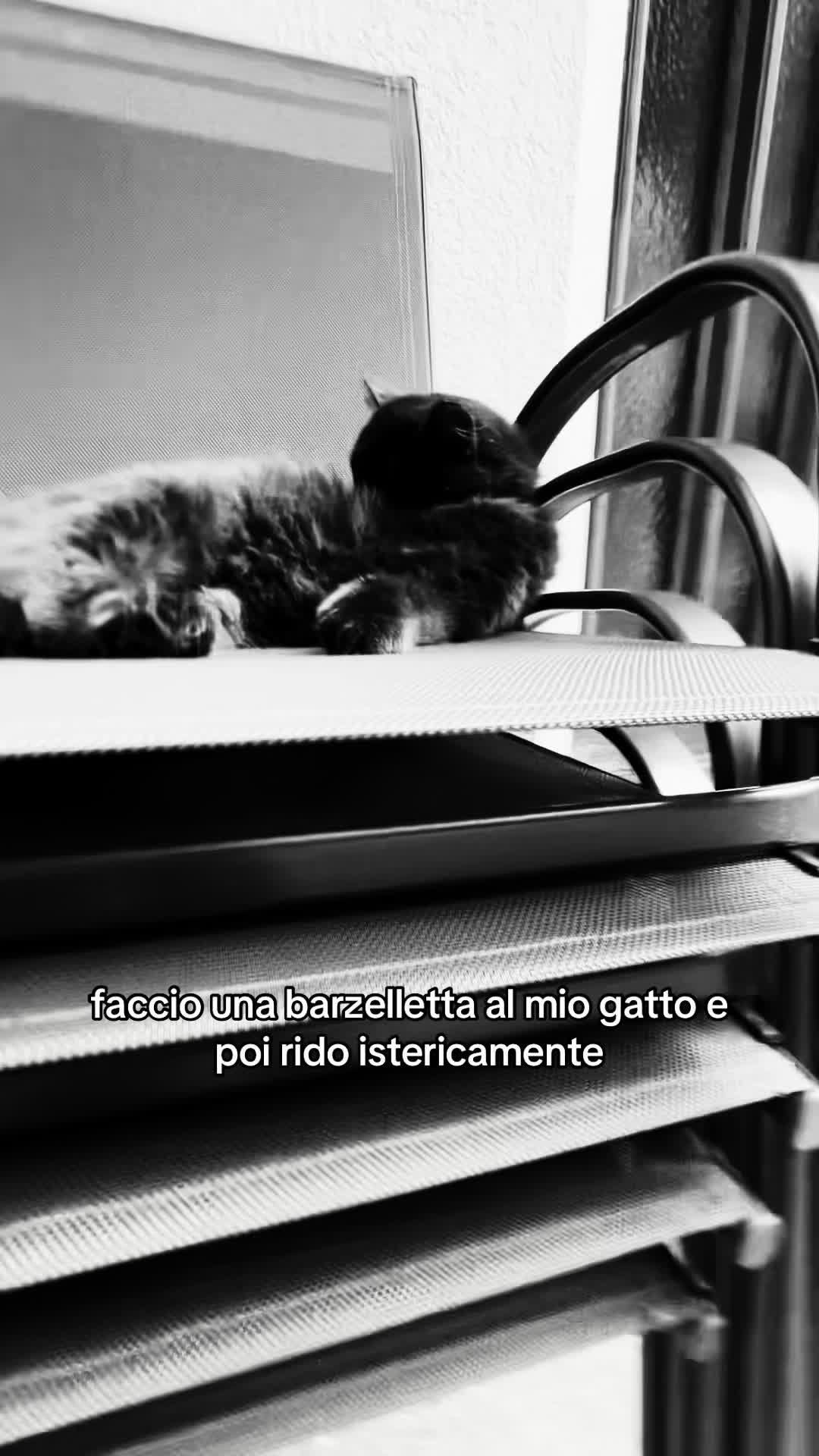 @ale.finocchia