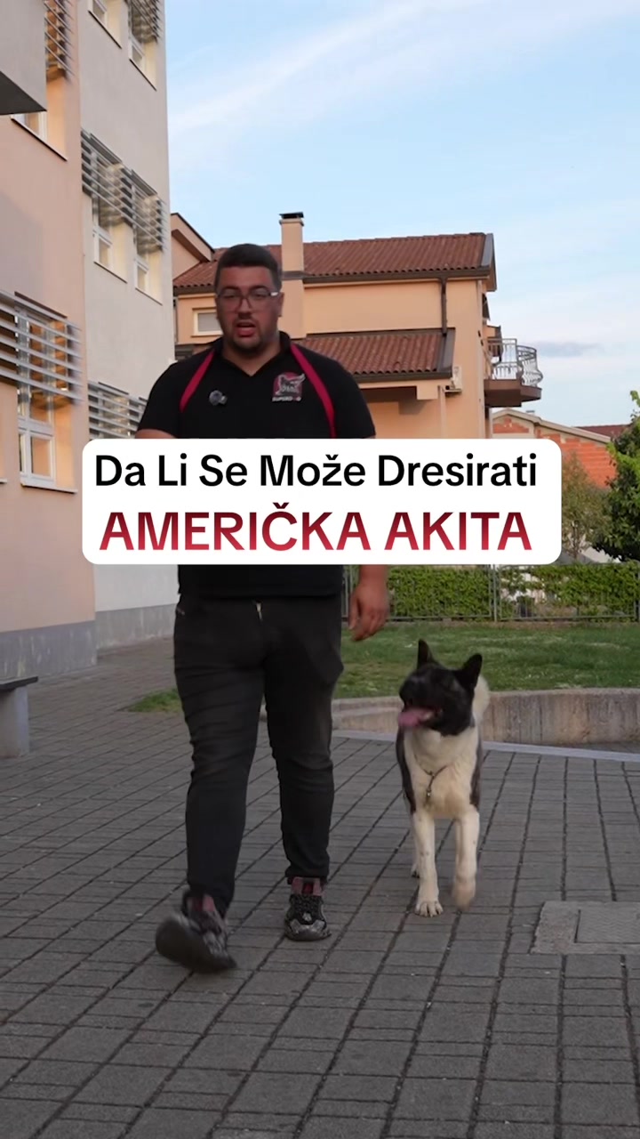 @superdog.akademija