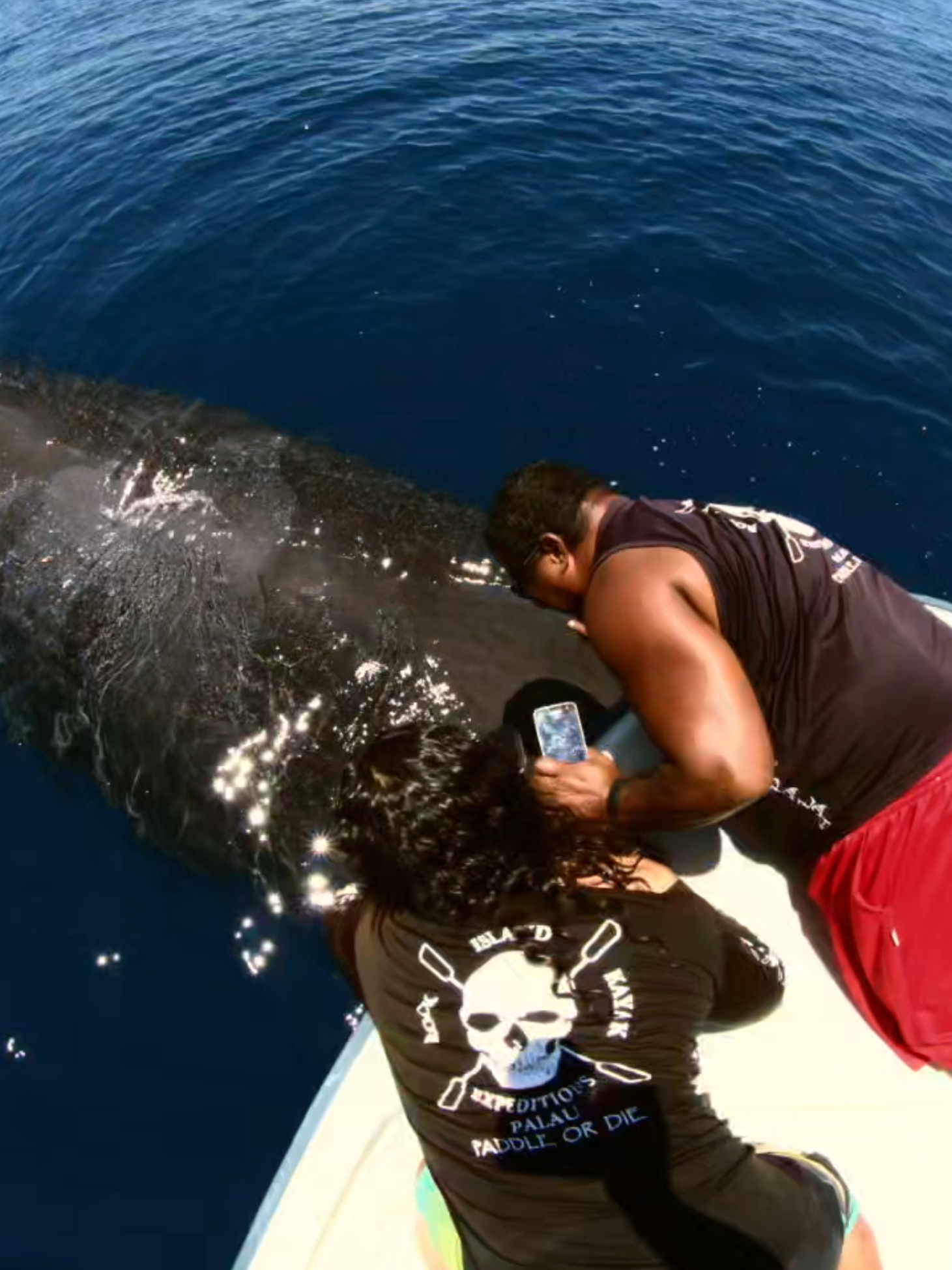 @Paddling Palau