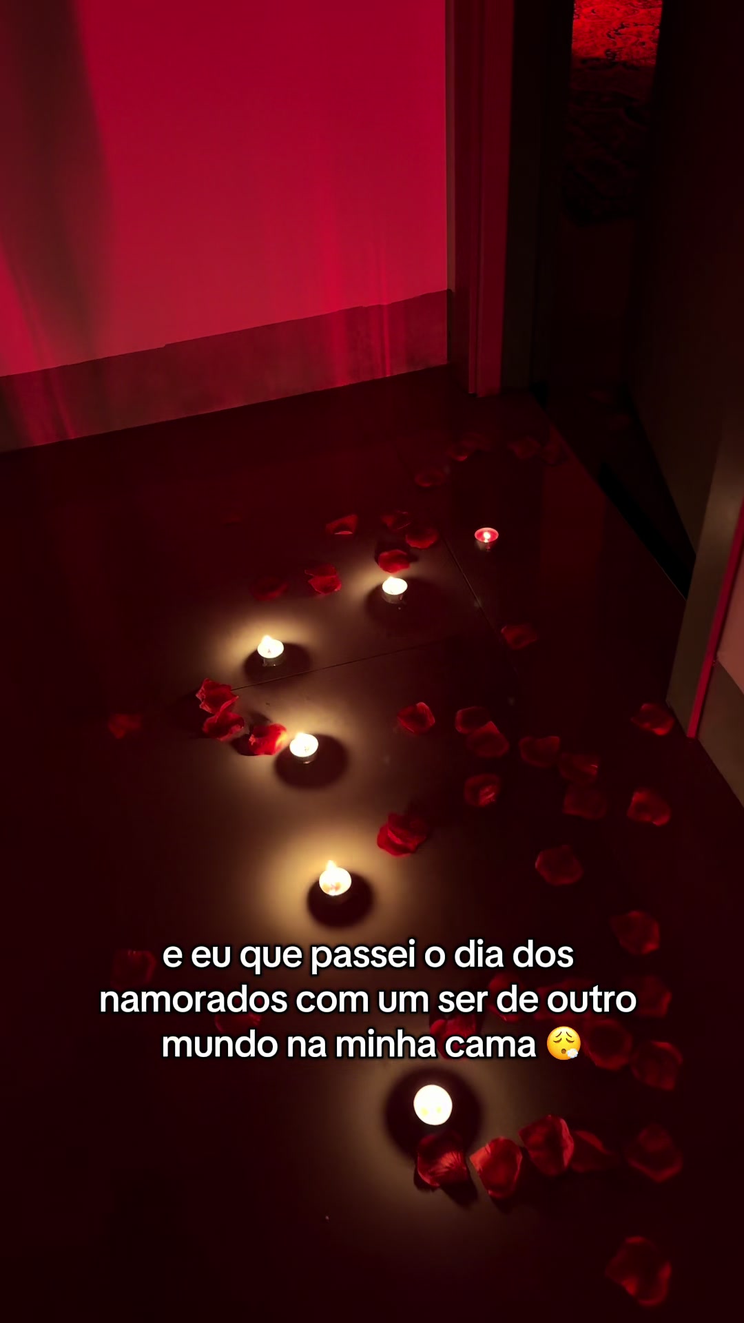@vitormaiacantor