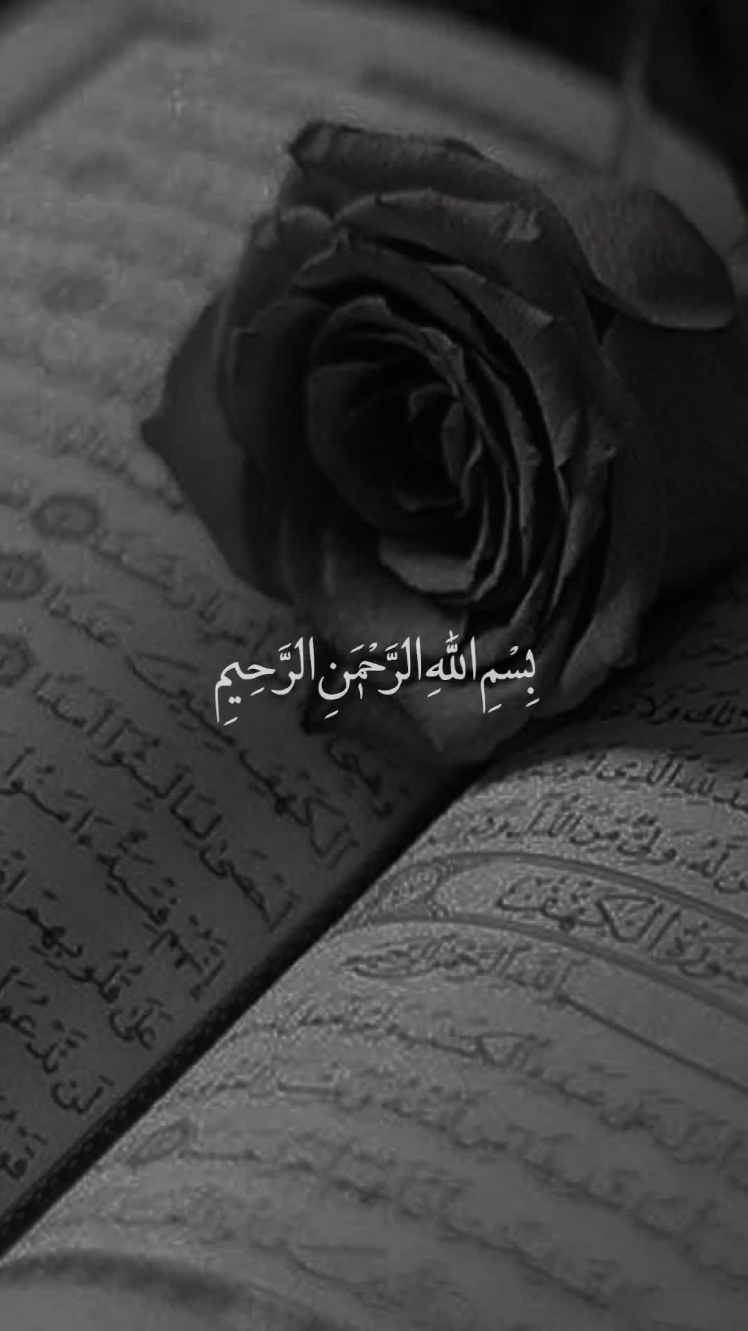 @قائد الغُرِّ المُحَجَّلين